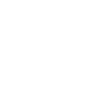Cyber Sécurité